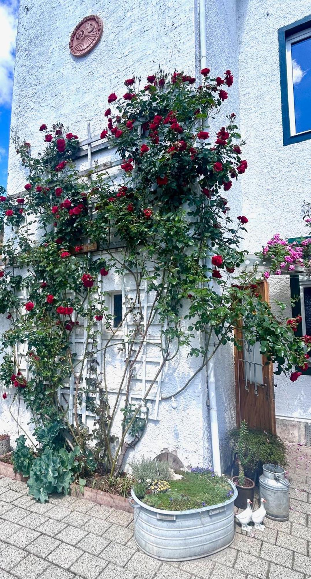 Ferienwohnung Johanna Naumburg  Exterior foto