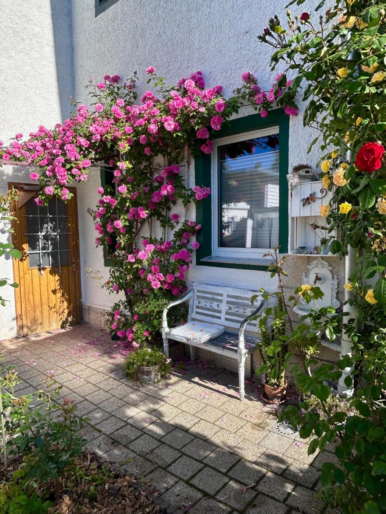 Ferienwohnung Johanna Naumburg  Exterior foto